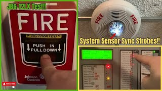 Front Door Pull Station Fire Alarm System Test 3 [upl. by Zipnick]