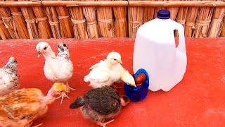 MIRA‼ Como hacer este Bebedero Automático para criar pollitos🐣🐥con botella de plástico descartable♻ [upl. by Ahsinna816]