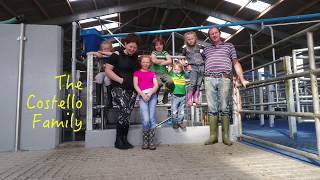 Rotary milking parlour changed our life Costello Family Dairy Farm [upl. by Aisetra]