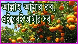 আল্লাহ আমার রব এই রবই আমার সব  allah amar rob e rob e amar sob [upl. by Eulalie]