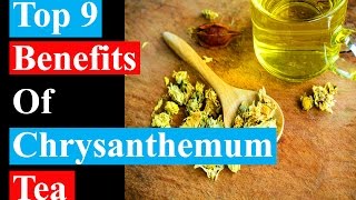 Top 9 Benefits Of Chrysanthemum Tea  Health Benefits [upl. by Gibun]