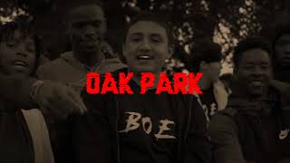 BOE Sosa x Mozzy x ShooterGang Type Beat 2017  Oak Park [upl. by Llehsar]