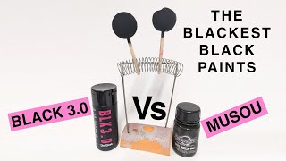 Mousu Black vs Black 30  The worlds blackest black paints Which is the blackest [upl. by Neeron]