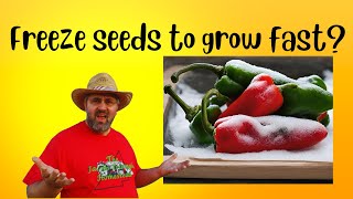 The Lightning Speed Method To Germinate Pepper Seeds survivalseeds2024 [upl. by Naillik]