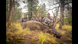 New Mexico 2024 Elk Hunt [upl. by Marriott]