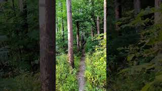 Sunset hike at Wildcat Mountain State Park [upl. by Devinne]