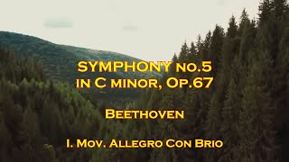 SYMPHONY no5  BEETHOVEN  IMov Allegro con Brio [upl. by Daphie]