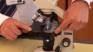 GCSE Biology 91 Triple Required Practical 1  Microscopes [upl. by Akinom949]