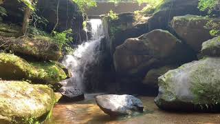 Dismals Canyon Rainbow Falls and Secret Falls in Phil Campbell Alabama [upl. by Tirma]