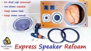 Repair speaker without removing Dust cap [upl. by Hacissej]