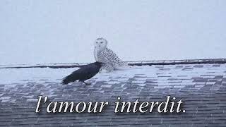 Lquotamour interdit [upl. by Dragoon]