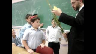 How to Shake a Lulav and Etrog [upl. by Riegel656]