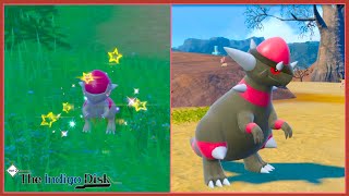 Live Shiny Cranidos  Shiny Rampardos Evolution The Indigo Disk Pokemon Scarlet [upl. by Rafaela]