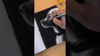 Dog Puppy drawing using charcoal  Tutorial ✨ shorts [upl. by Aedni]