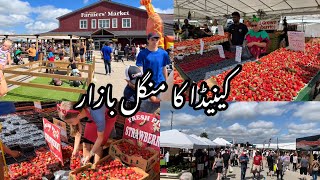 Shopping At Canadian Mangal Bazaar  St Jacob Farmers Market  Largest Farmer Market In Canada 🇨🇦 [upl. by Emyaj]