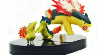 Zukan Review Cyndaquil Quilava amp Typhlosion Line [upl. by Sherourd445]