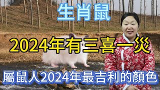 生肖屬相鼠！屬鼠人在2024年有三喜一災！到底是哪三喜？還有什麼災呢！本期視頻謹慎生肖鼠三喜一災以及屬鼠人2024年最吉利的顏色是什麼？生肖 運勢 風水 2024 [upl. by Olva]