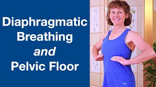 Diaphragmatic Breathing and Pelvic Floor [upl. by Nerot621]