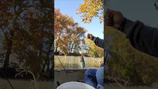 Fishing the sandusky river Tiffin Ohioshorts fyp fishing relaxing [upl. by Iover]