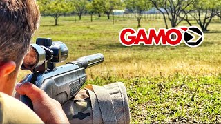 Are Gamo Break Barrels REALLY Worth the Hype [upl. by Toombs699]