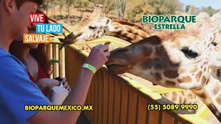 Bonalife te invita a vivir la aventura de Bioparque Estrella [upl. by Getraer]