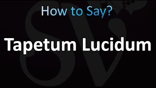 How to Pronounce Tapetum Lucidum [upl. by Eiramlirpa600]