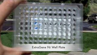 ExtraGene 96 Well ELISA Plate Test  Quasar Instruments [upl. by Idnac]