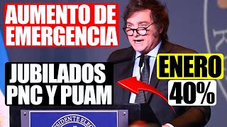 💸Milei en Enero❗ “Aumento de Emergencia” para Jubilados PNC y PUAM y Cambios en ANSES 2024 [upl. by Ettelohcin]