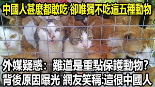 中國人甚麼都敢吃，卻唯獨不吃這五種動物，外媒疑惑：難道是重點保護動物？ 背後原因曝光，網友笑稱：這很中國人 [upl. by Appleby310]