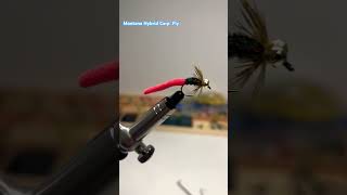 Montana Hybrid Carp Fly piano carponthefly carp flies flyfishing partridge peackok mosca [upl. by Delogu338]