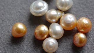 Everything You Need to Know About Mother Of Pearl [upl. by Biddie]