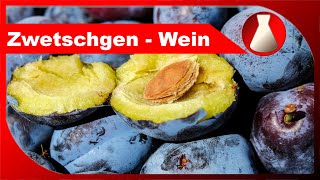 ZwetschgenWein selber machen  Fruchtwein machen als Hobby  Fermentastisch [upl. by Peugia]