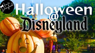 10 Quick tips 2024 Halloween season Disneyland Resort [upl. by Thessa]