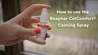 How to use the Beaphar CatComfort® Calming Spray [upl. by Enirok]