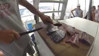 How to cut Bonito for bait Red Snapper Grouper King and Shark [upl. by Sonnie173]