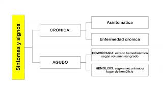 FISIOPATOLOGÍA  Semana 12  Anemia [upl. by Audi]