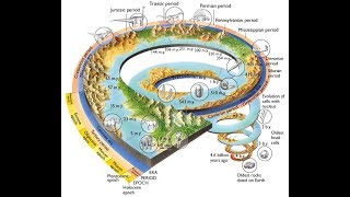 Geologic Time 8 E 6A 1 1 [upl. by Allac]