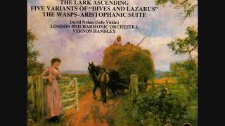 Vaughan Williams The Lark Ascending  mid section [upl. by Aikkin]