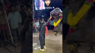 SWAPNA YADAV SADAR AGMAN 2024  sadar festival grand Celebration 2024  sadarfestival subscribe [upl. by Bluhm801]