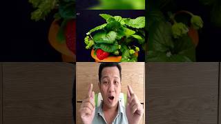 Journey of a Strawberry Seedling to Ripe Berry fruit shortvideo trend funny [upl. by Temirf896]