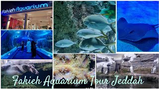 Fakieh Aquarium In Jeddah  Saw Huge Stingray Near Seaside😱 Biggest Aquarium In Saudi Arabia 🇸🇦 [upl. by Farver]