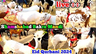 shamshabad bakra mandi Eid Qurbani 2024 June 7 2024 new video update zkd [upl. by Agnes940]