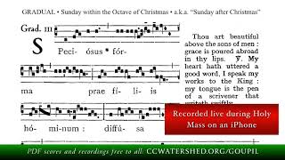 “Speciosus Forma Præ Filiis Hominum” • GRADUAL Sunday after Christmas [upl. by Dinan]