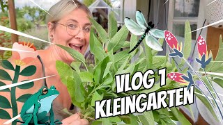 🌷Vlog 1  Kleingarten🌷 [upl. by Jocko5]