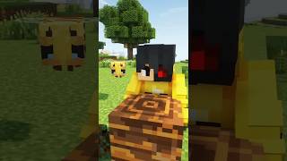 Helping the bees In Minecraft [upl. by Magee336]