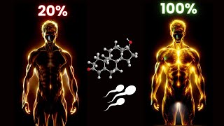 Boost Your Testosterone amp Spem 🔥 Must Watch Video For Every Man 🔥 [upl. by Tak]