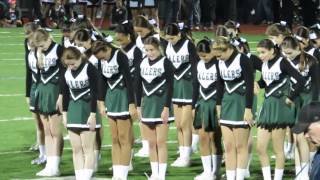 Daler cheerleaders perfromance Homecoming 2014 [upl. by Seerdi245]