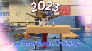 2023 Pommel Horse Training [upl. by Reggie232]