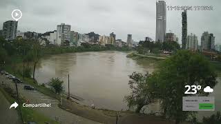 Nível do RIO ItajaíAçu agora 229 metros em Blumenau [upl. by Ellebyam562]