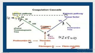 coagulation cascade easy way to remember [upl. by Nayb269]